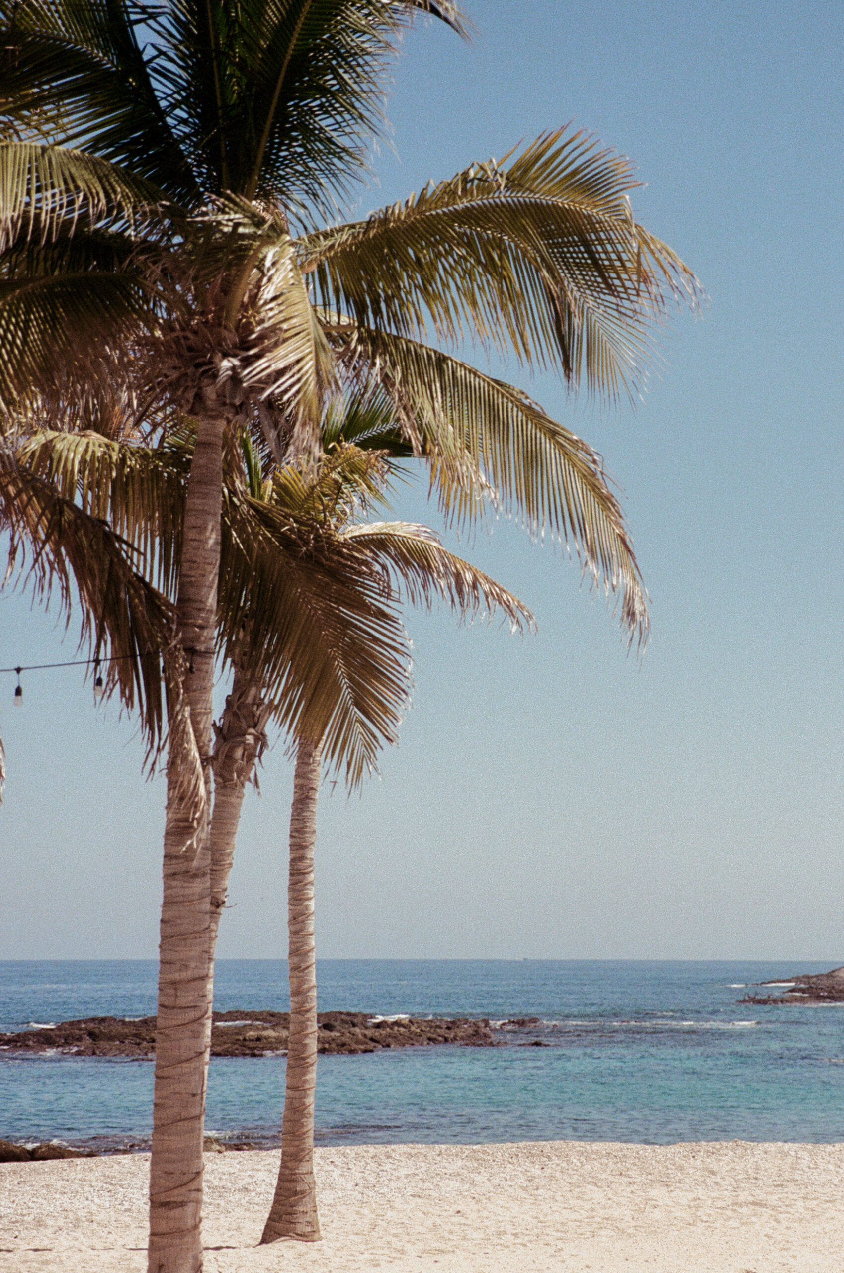 chilenobay-1